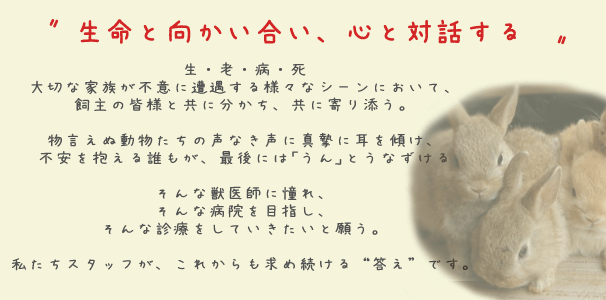 コンセプト